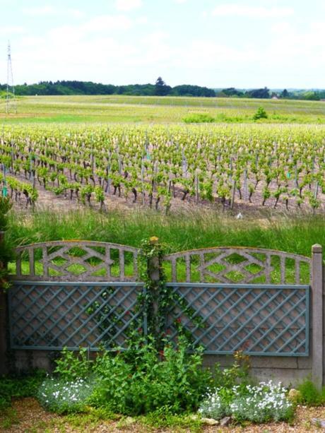 Faverolles-sur-Cher Domaine De La Chapelle - Ch D'Hote מראה חיצוני תמונה